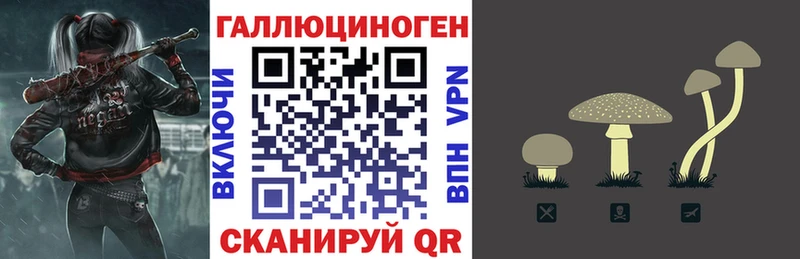 Псилоцибиновые грибы Psilocybine cubensis  гидра ТОР  Белоусово  купить наркотик 